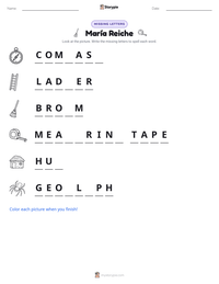 María Reiche printable worksheet preview