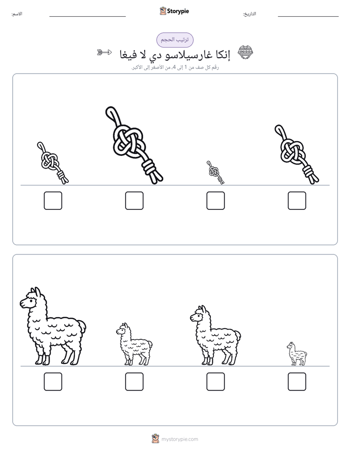 ترتيب الحجم