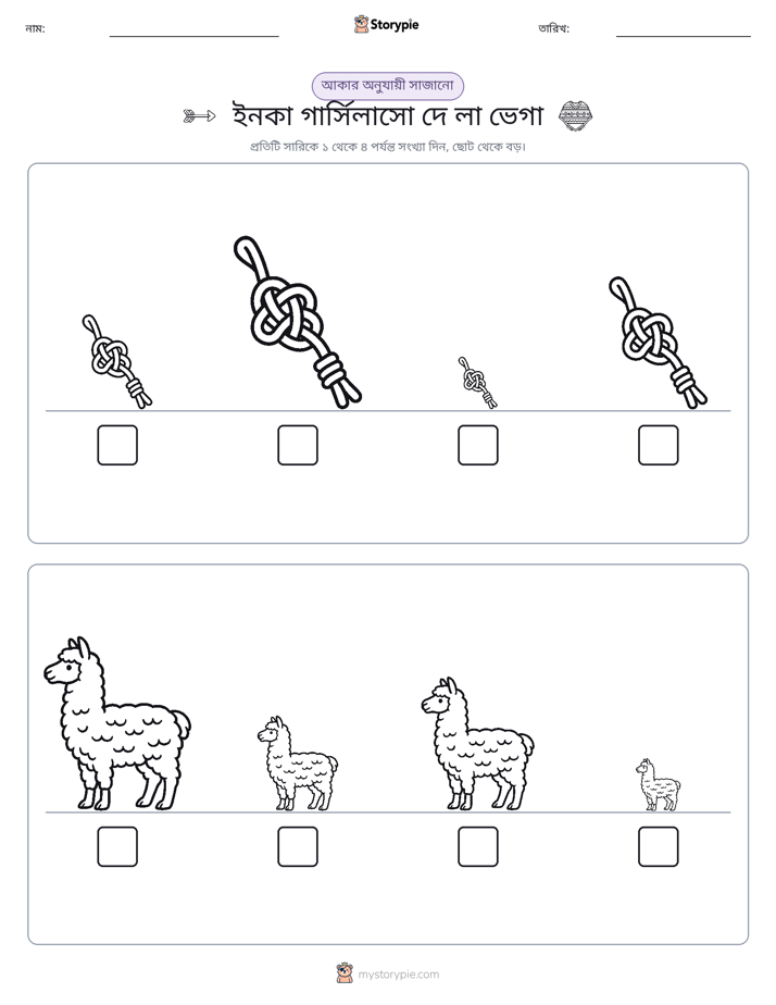 আকারের ক্রম