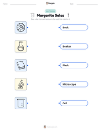 Margarita Salas printable worksheet preview