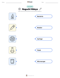 Noguchi Hideyo printable worksheet preview