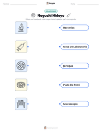 Vista previa de la hoja de trabajo imprimible de Noguchi Hideyo