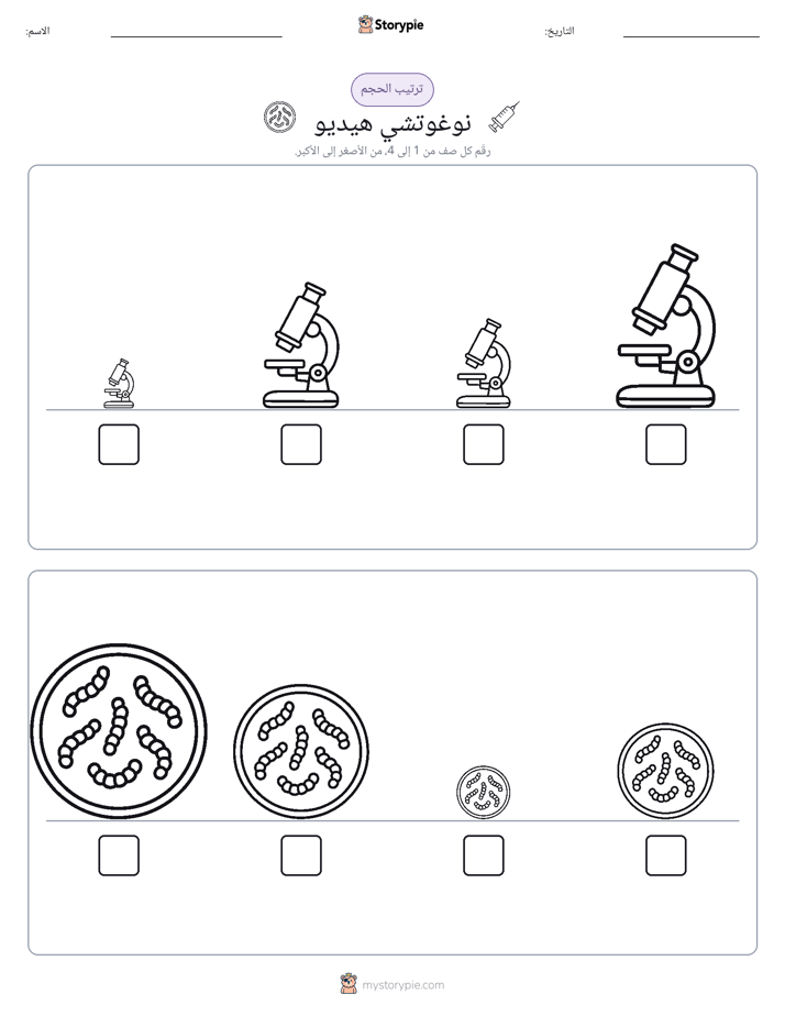 ترتيب الحجم