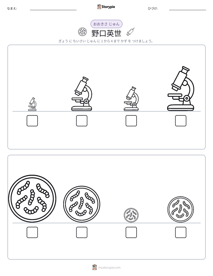 サイズ順