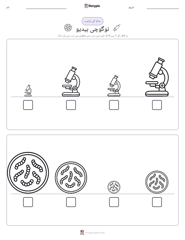 سائز کی ترتیب