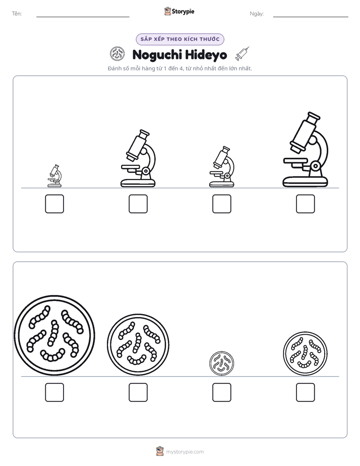 Thứ Tự Kích Thước
