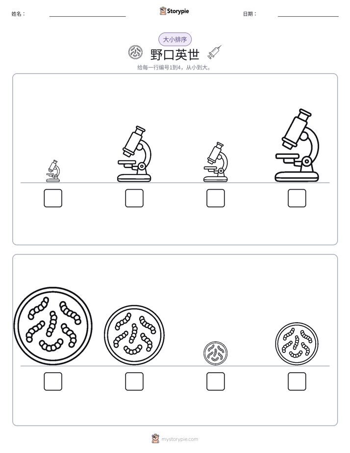 大小排序