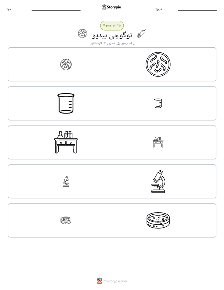ترتیب دینا