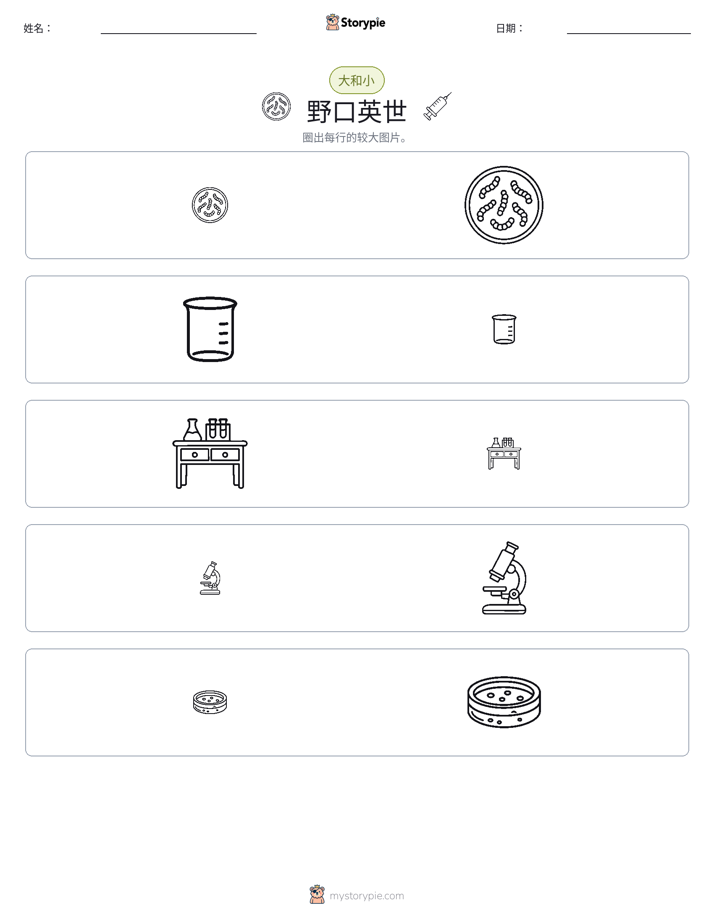 分类