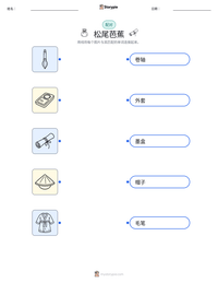 松尾芭蕉 可打印工作表预览