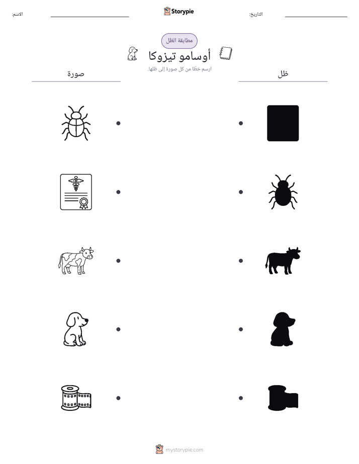 مطابقة الظل