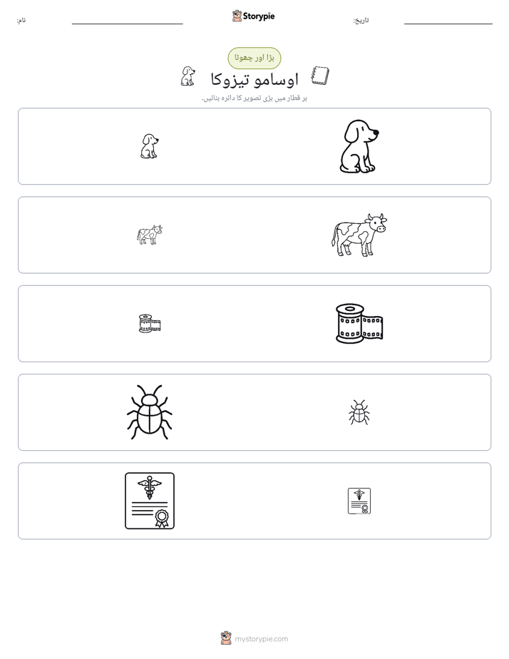 ترتیب دینا