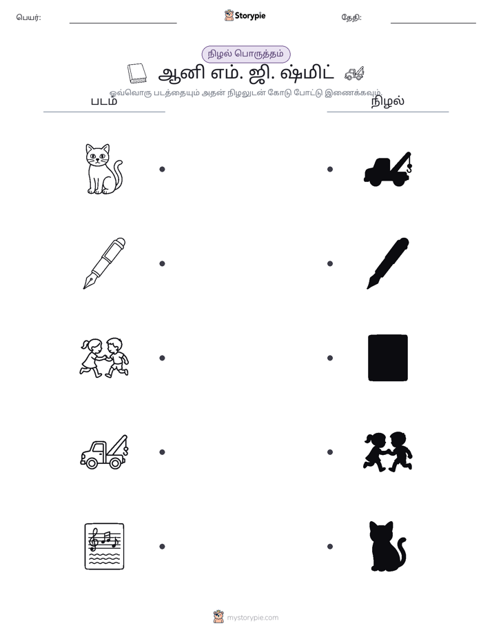 நிழல் பொருத்தம்