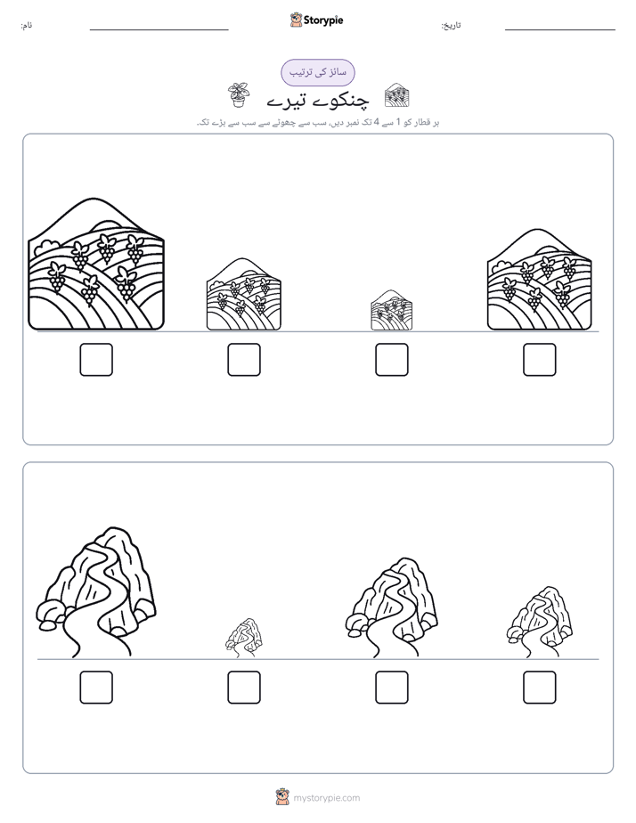سائز کی ترتیب