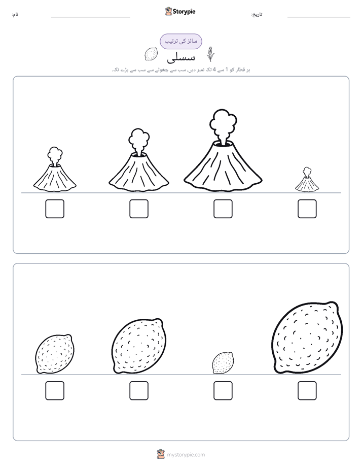 سائز کی ترتیب