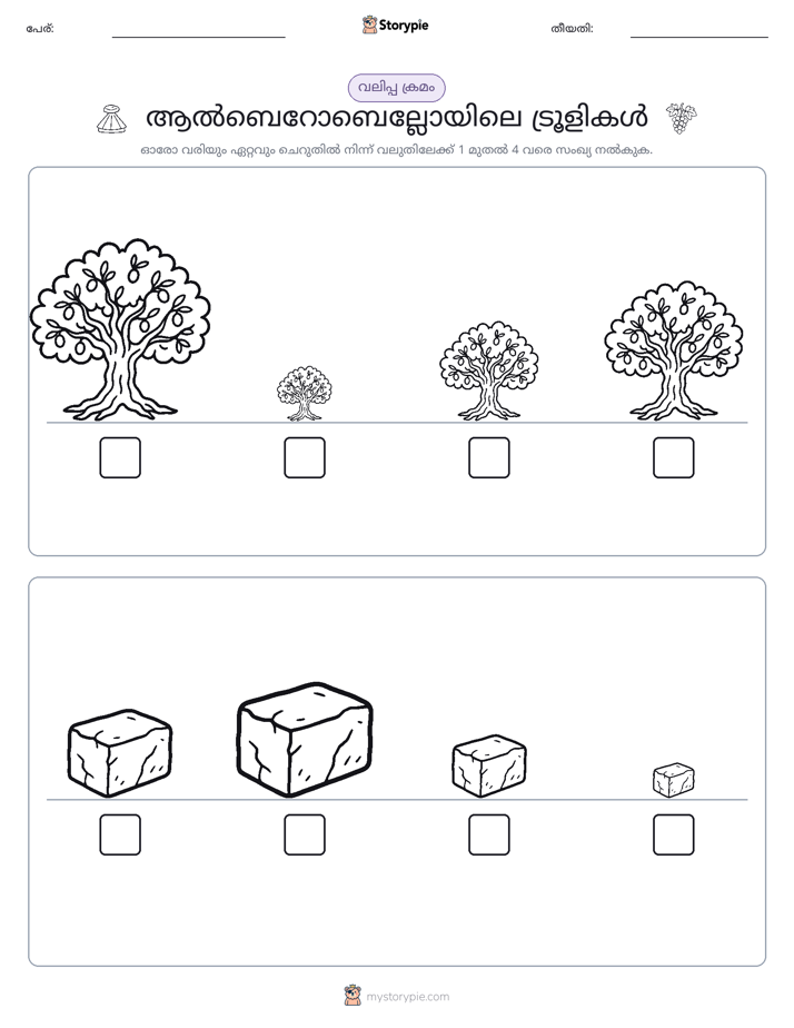 വലുപ്പം ക്രമം