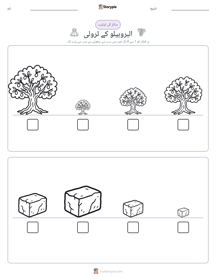 سائز کی ترتیب