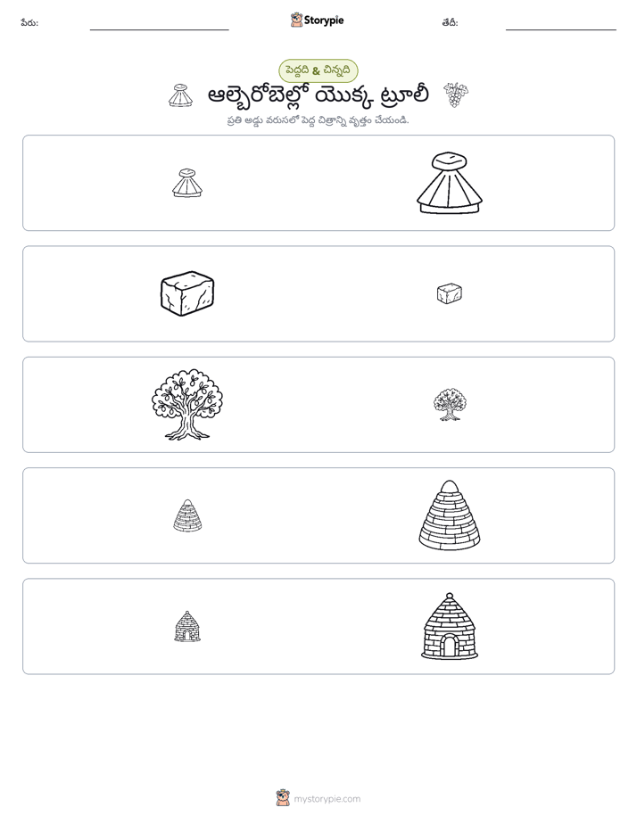 వర్గీకరణ