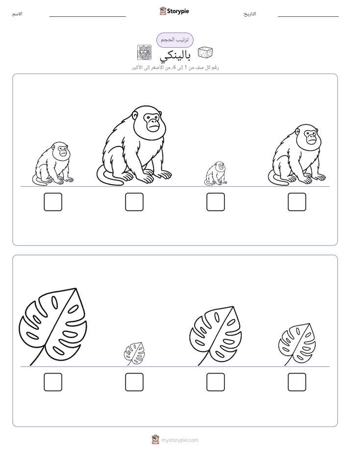 ترتيب الحجم