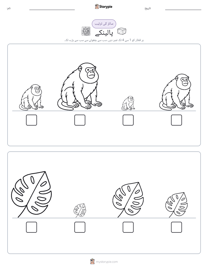 سائز کی ترتیب