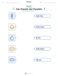 Xem trước tài liệu in sẵn Các Cenote của Yucatán