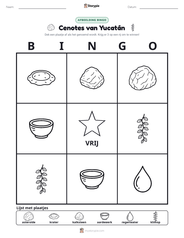 Afbeelding Bingo