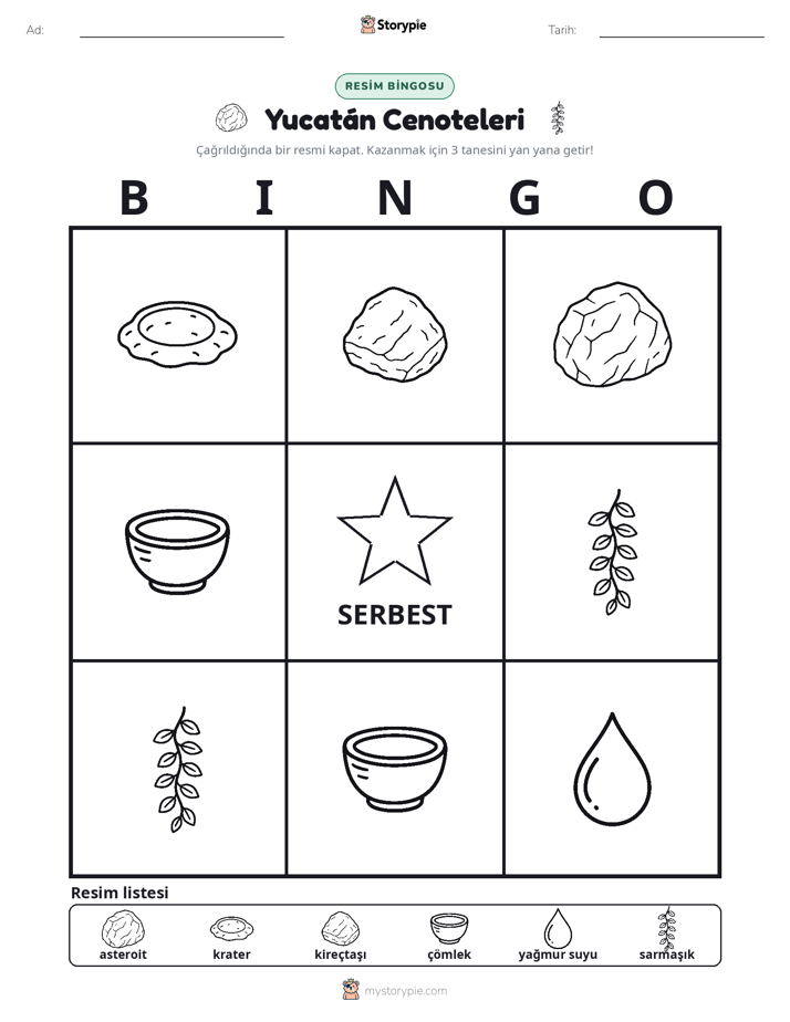 Resim Bingo