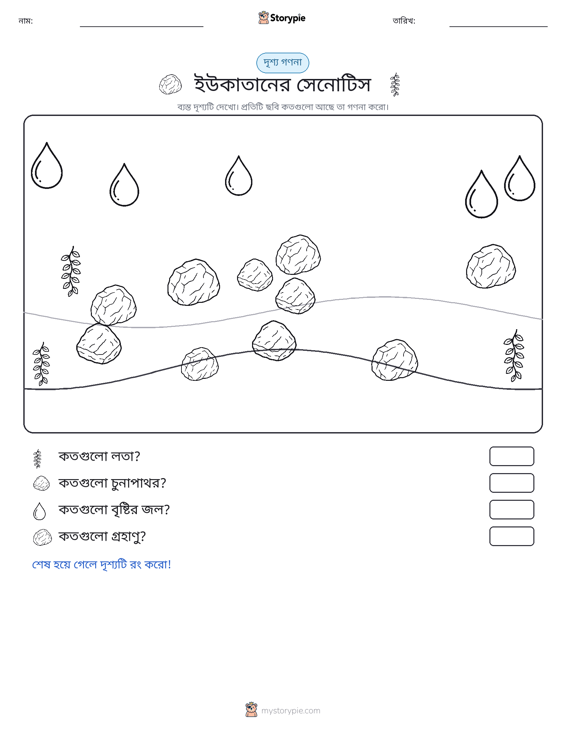 গণনা দৃশ্য