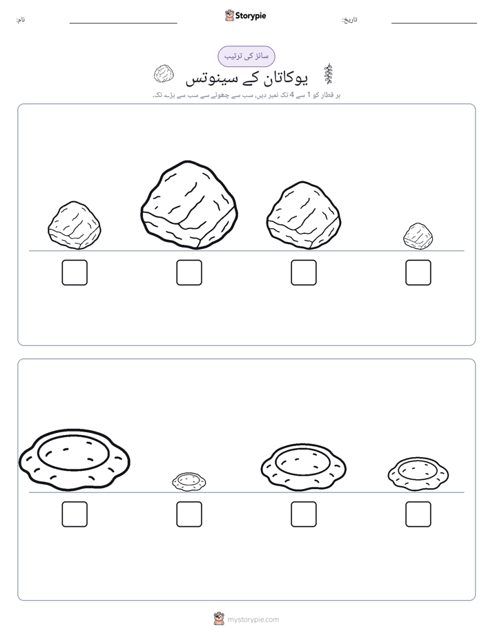 سائز کی ترتیب