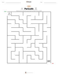 Paricutín printable worksheet preview