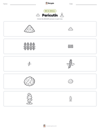Paricutín printable worksheet preview