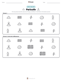 Paricutín printable worksheet preview