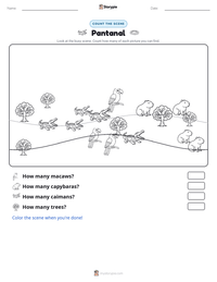 Pantanal printable worksheet preview