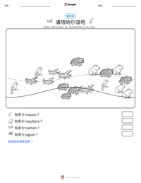 潘塔纳尔湿地 可打印工作表预览