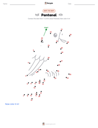 Pantanal printable worksheet preview
