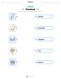 Pantanal printable worksheet preview