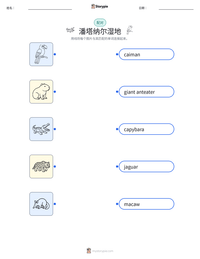 潘塔纳尔湿地 可打印工作表预览