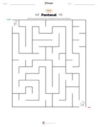 Pantanal printable worksheet preview