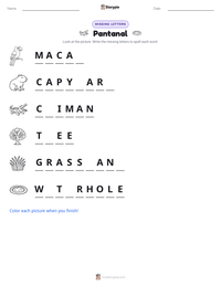 Pantanal printable worksheet preview