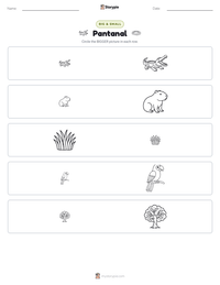Pantanal printable worksheet preview