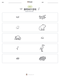 潘塔纳尔湿地 可打印工作表预览