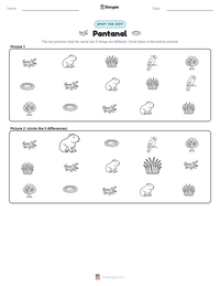 Pantanal printable worksheet preview
