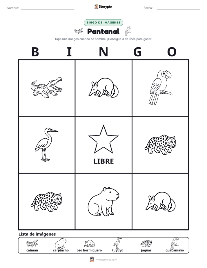 Bingo de Imágenes