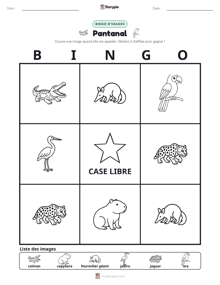 Bingo d'Images