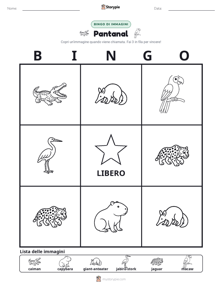 Bingo delle Immagini