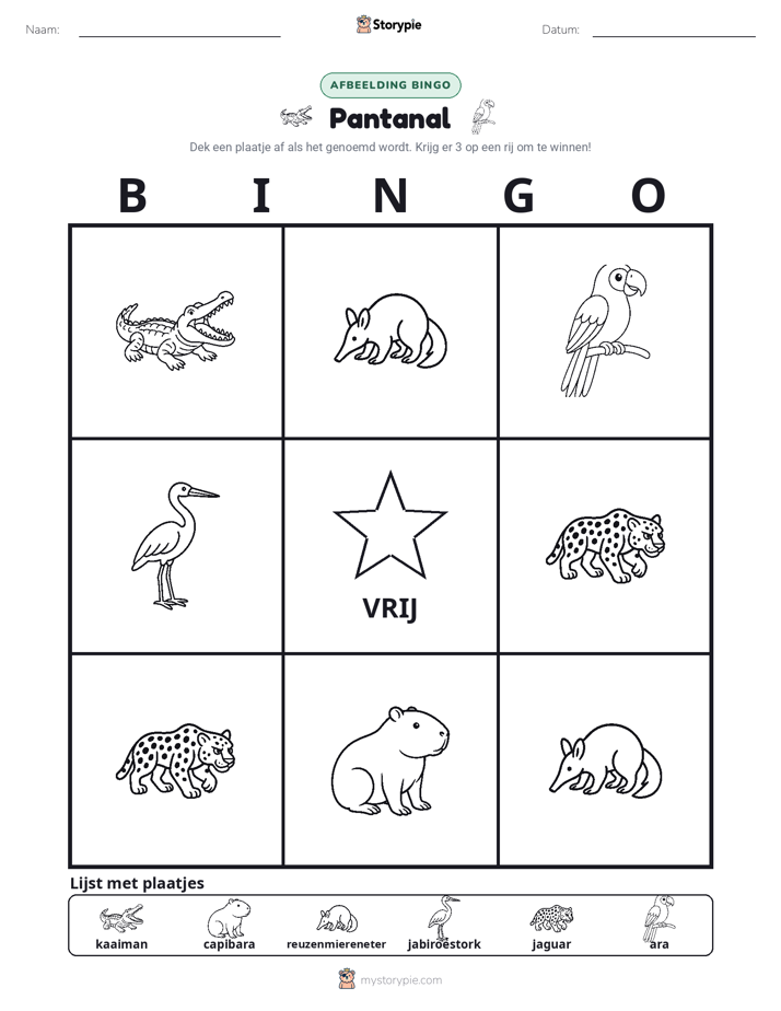 Afbeelding Bingo