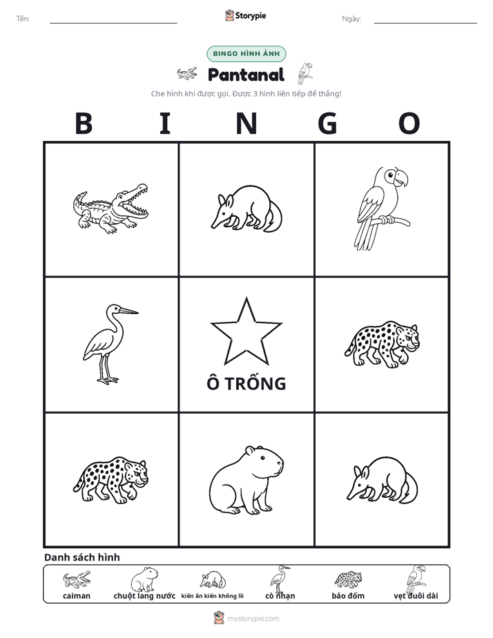Bingo Hình Ảnh