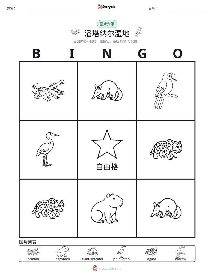 图片宾果