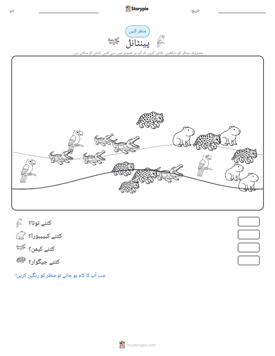 گنتی کا منظر