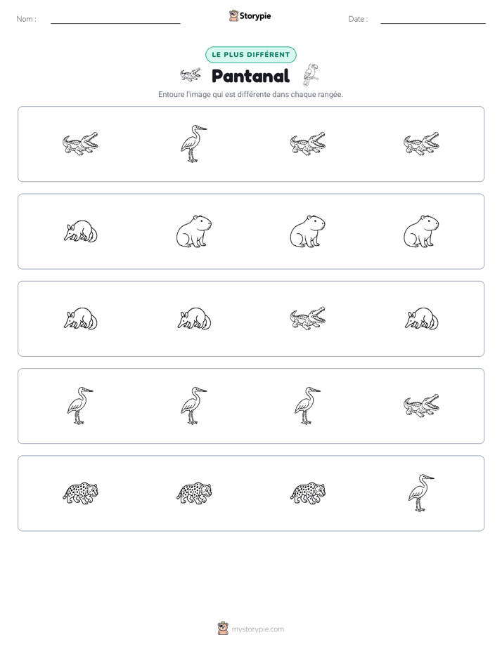 Celui qui ne correspond pas